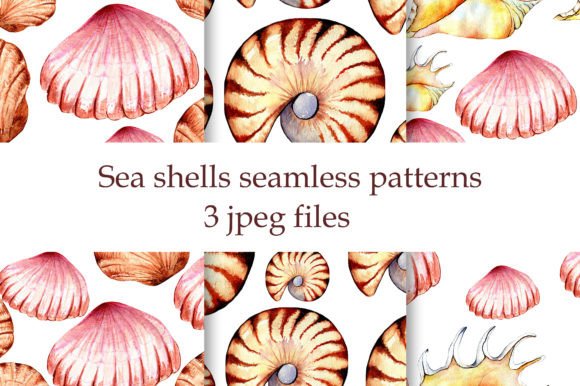 Sea Shells Seamless Patterns